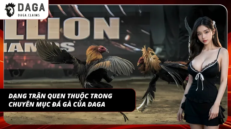 Mỗi dạng trận mang lại nhịp đấu và cách theo kèo khác nhau