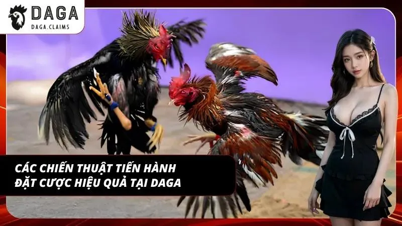 Những chiến thuật được nhiều thành viên áp dụng tại nhà cái