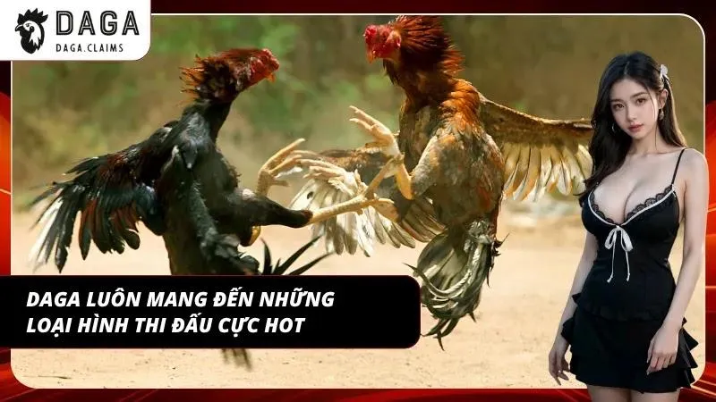Lịch đá gà DAGA hôm nay với các loại hình hấp dẫn